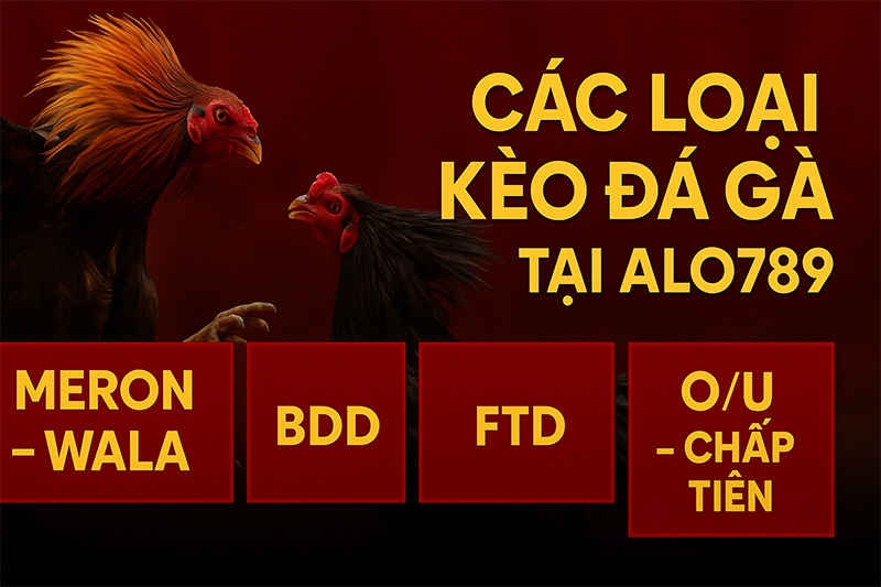 Các loại kèo đá gà phổ biến tại ALO789
